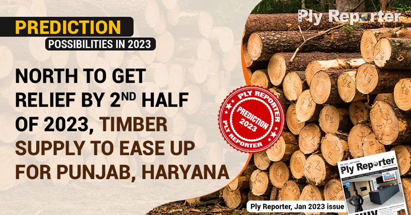 NORTH TO GET RELIEF BY 2ND HALF OF 2023, TIMBER SUPPLY TO EASE UP FOR PUNJAB, HARYANA