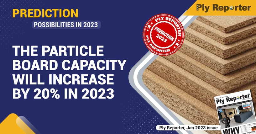 THE PARTICLE BOARD CAPACITY WILL INCREASE BY 20% IN 2023