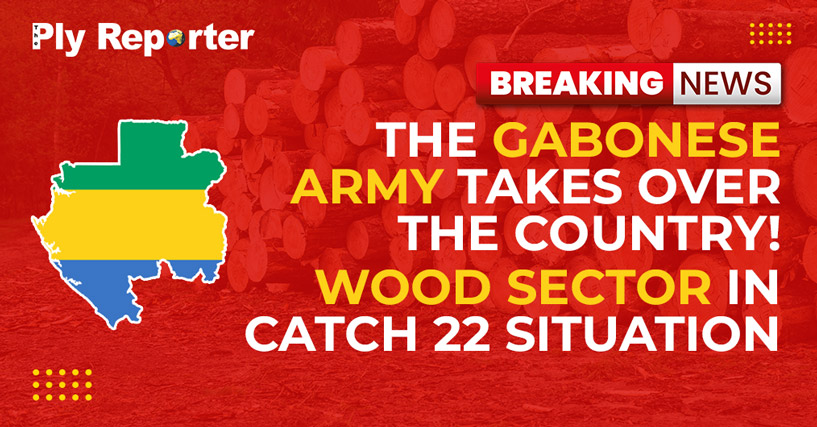 The Gabonese Army takes over the country! Wood sector in Catch 22 situation