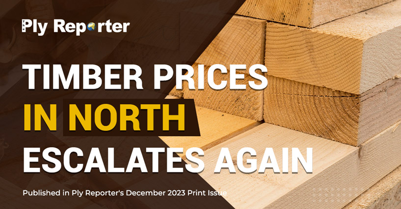 20240115001129_38-TIMBER-PRICES-IN-NORTH.jpg