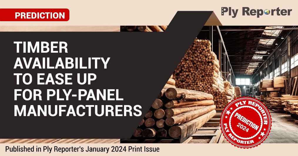 Timber Availability To Ease Up For Ply-panel Manufacturers