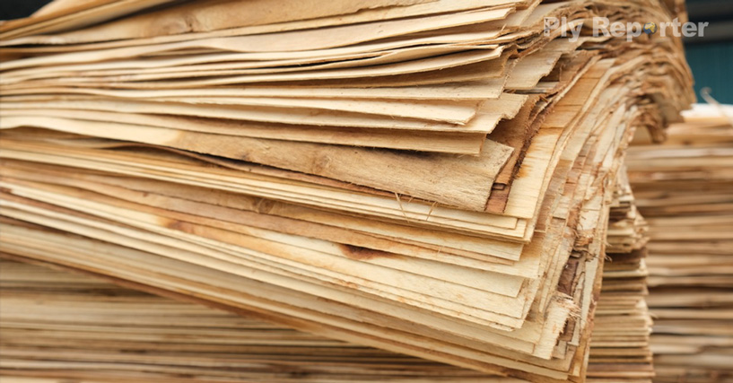 20250603021216_Imported_Core_Veneers_Bring_Relief-_Plywood_Units_Hindi.jpg