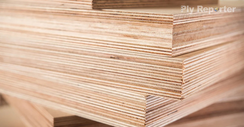 20250603232213_Plywood_Industry_Raises_Concern_Over_Fake_BIS_Hindi.jpg