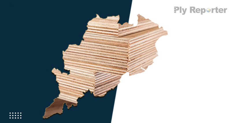 20250613024115_Greenply_to_Set_Up_Plywood_Unit_Hindi.jpg