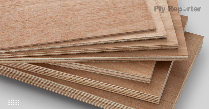 20250615224833_Infra_Market_Accelerates_Growth_Wood_Panel_Biz_Hindi.jpg